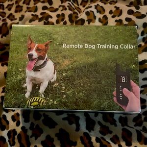 Remote dog training collar